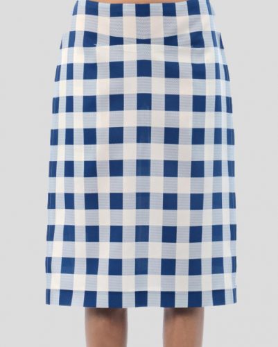 Dreamy Blue and White Check Flannel Skirt