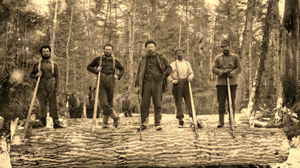 Everything You Should Know About Sustainable Fashion, Its History, And Current Trends 1 History of flannel fashion